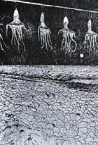 版画作品 民家 49